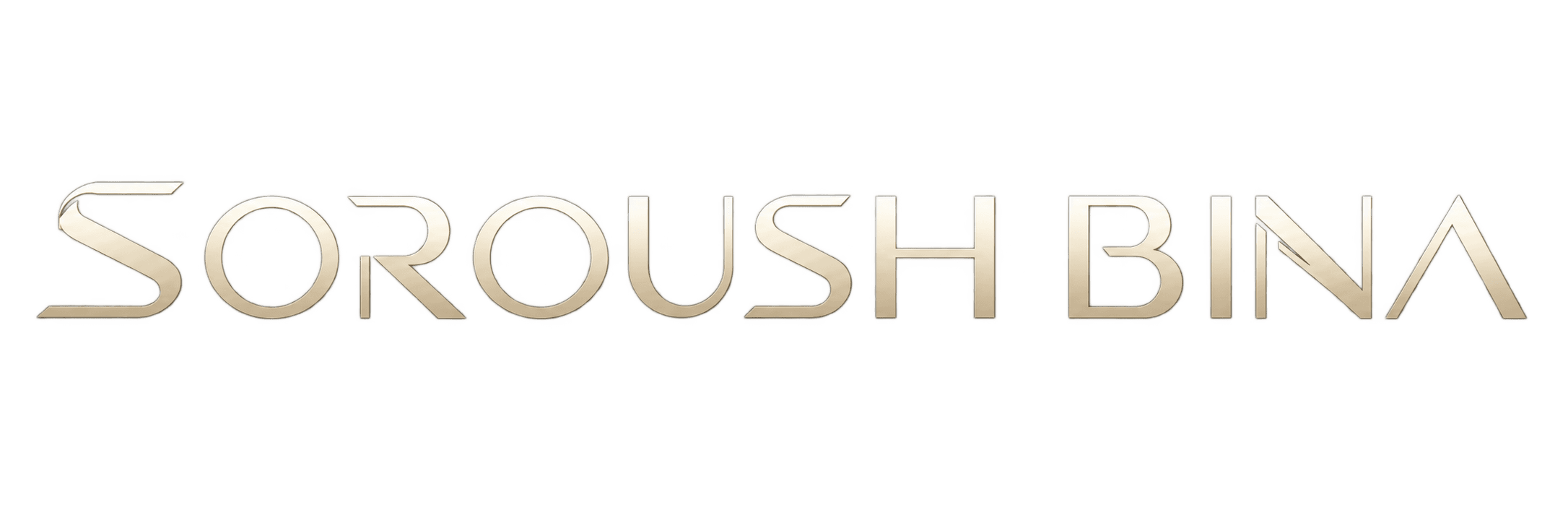 Soroush Bina
